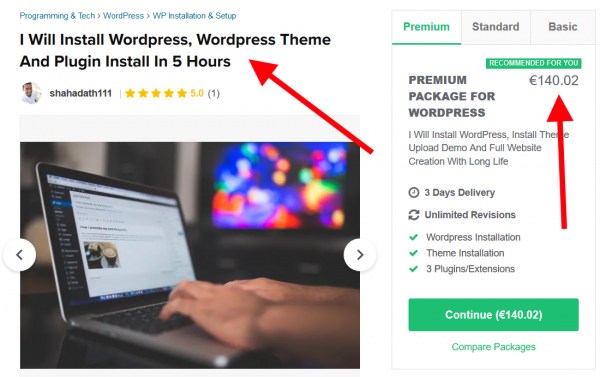 WordPress setup service example 1